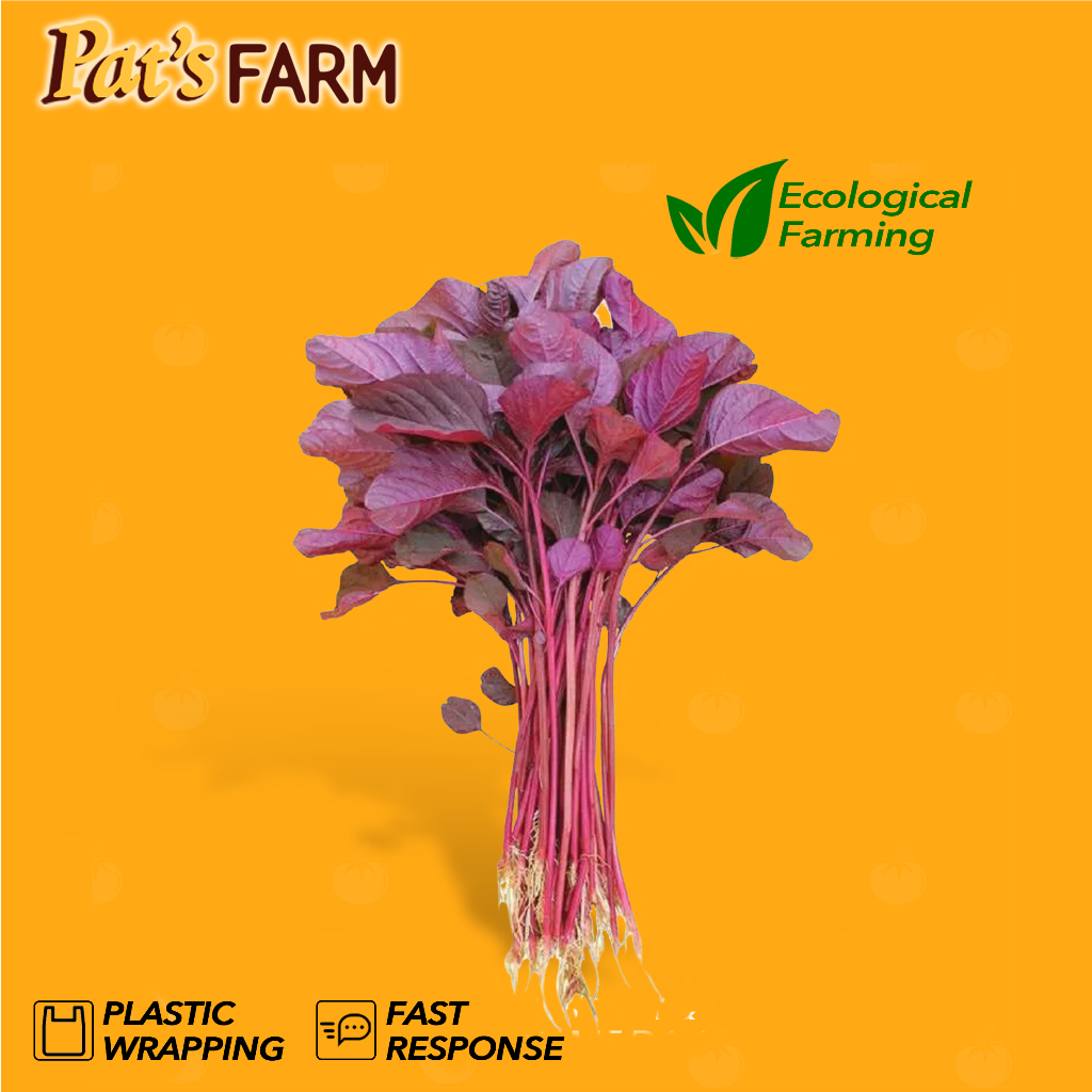 

Bayam Merah / Red Spinach