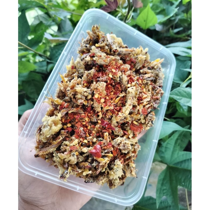 

belalang goreng krispi renyah gurih lezat walang utis padi