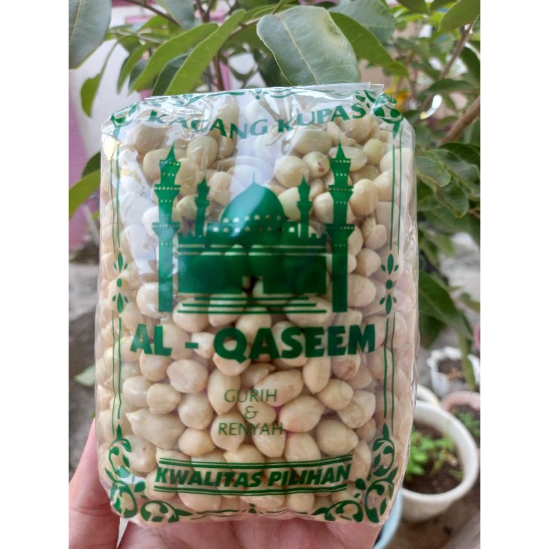 

Kacang Tuban Asli Al Qaseem | JRD Kacang Tanah Kupas Kualitas Premium 350g