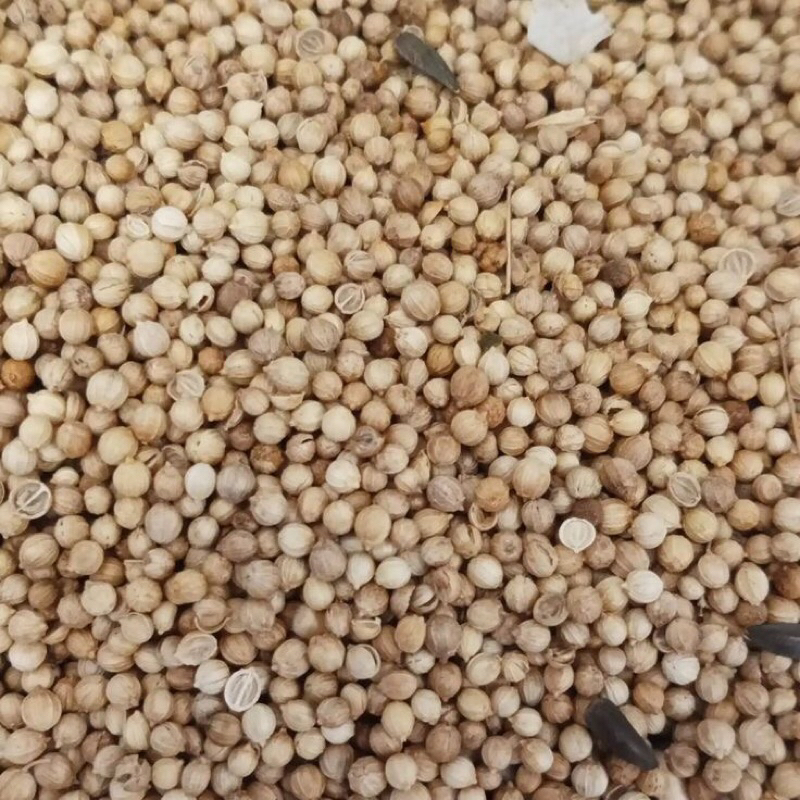 

Ketumbar Bulat | Biji Ketumbar 250g Kualitas Super