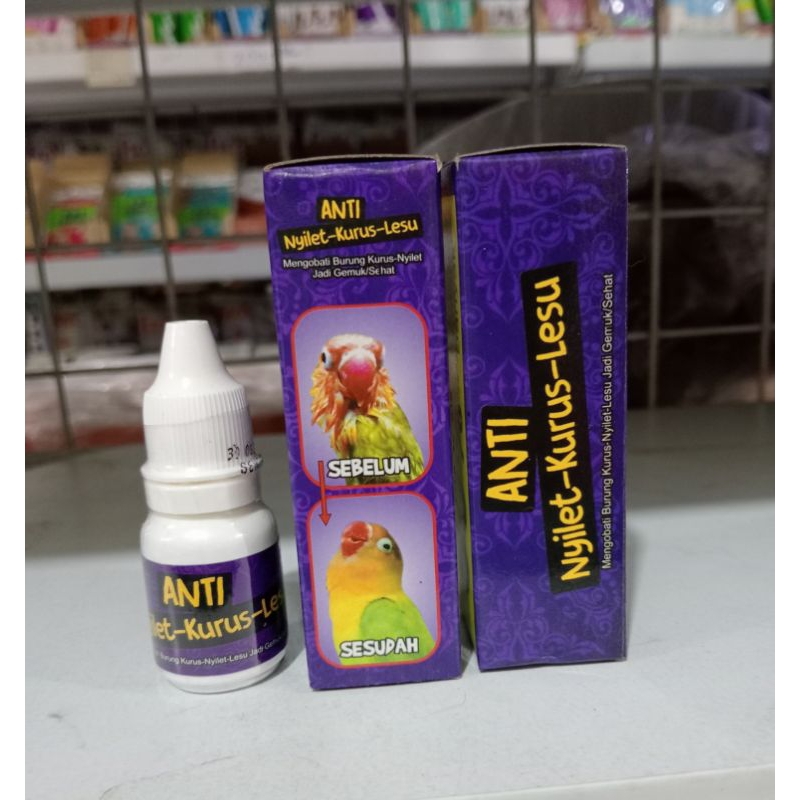 OBAT BURUNG ANTI NYILET LESU KURUS MENGOBATI BURUNG  NYILET KURUS LESU