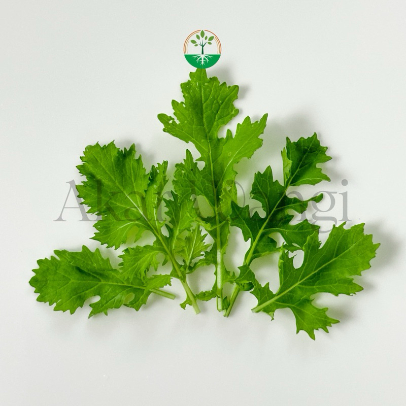 

Baby Vegetables Baby Mizuna Akar Wangi