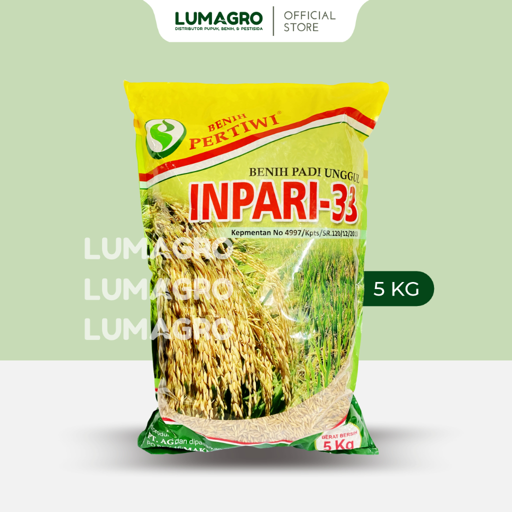 Benih Padi Pertiwi Inpari 33 5kg Premium Bibit Pari Jumbo 5 Kilogram