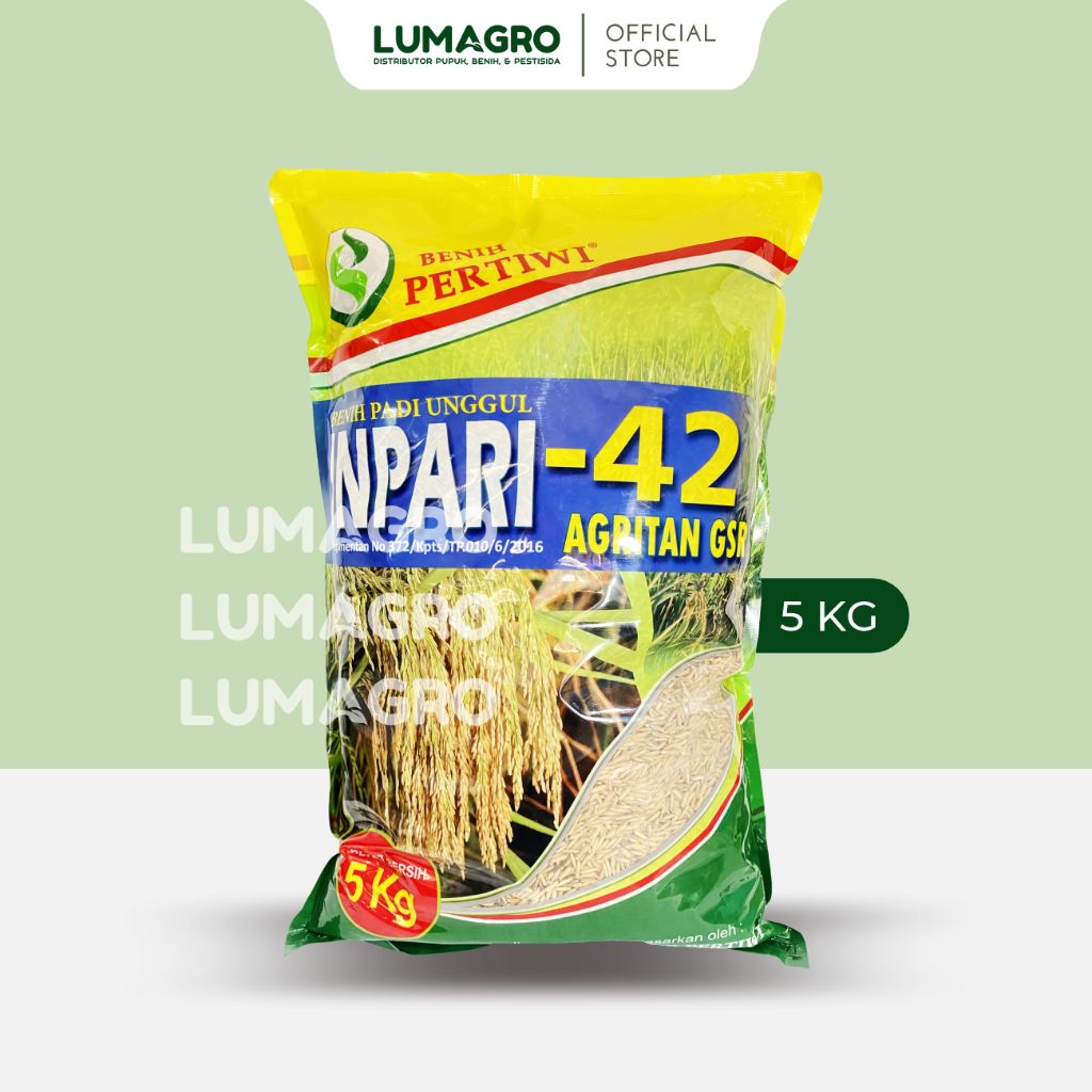 Benih Padi Pertiwi Inpari 42 5kg Premium Bibit Pari Jumbo 5 Kilogram