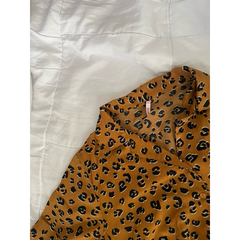 

Colorbox 2in1 Orange - A26