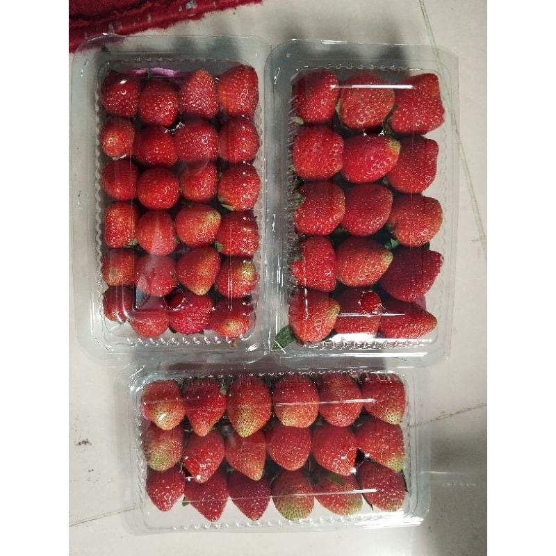 

strawberry grade C