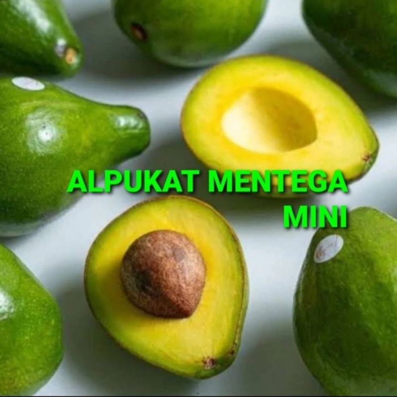 

alpukat mentega mini 1 kg isi 6 -7 buah