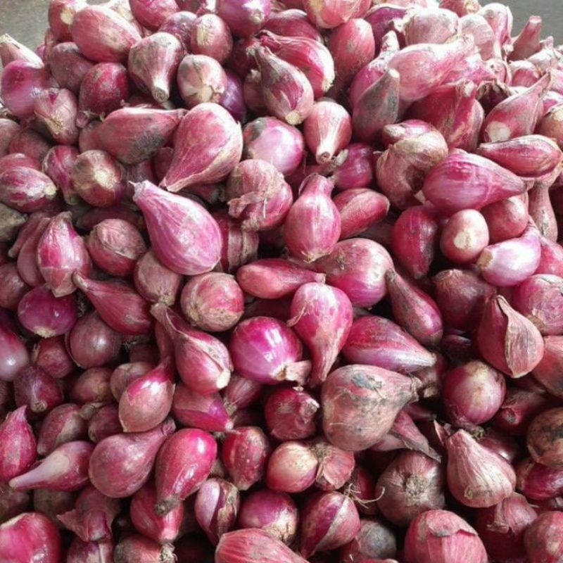 

bawang merah berkualitas super bawang premium