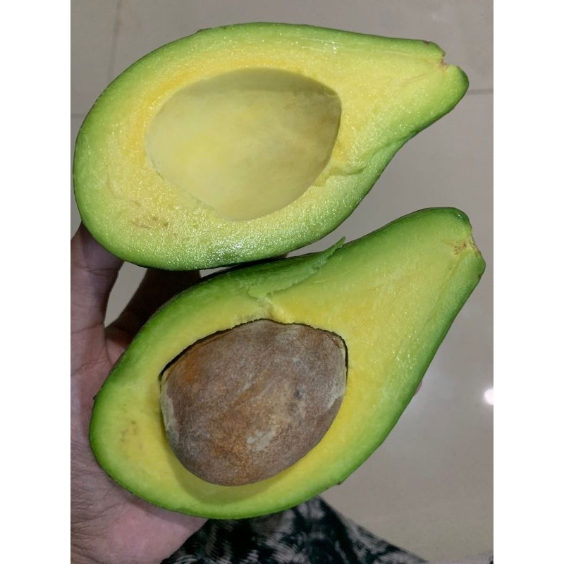 

alpukat mentega muria