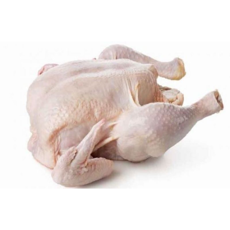 

ayam potong berat 1- 1,3 kg