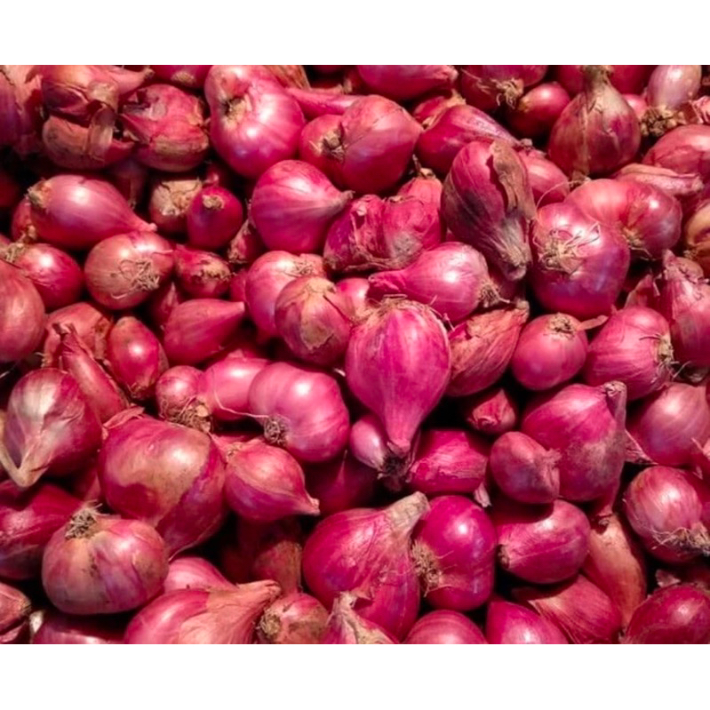 

BAWANG MERAH SUPER JUMBO 1kg