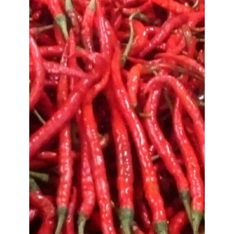 

CABE MERAH KERITING 250g