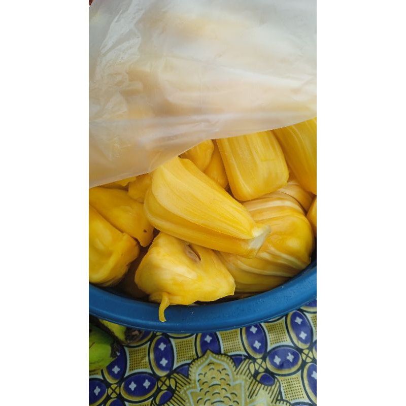 

nangka masak 500gram