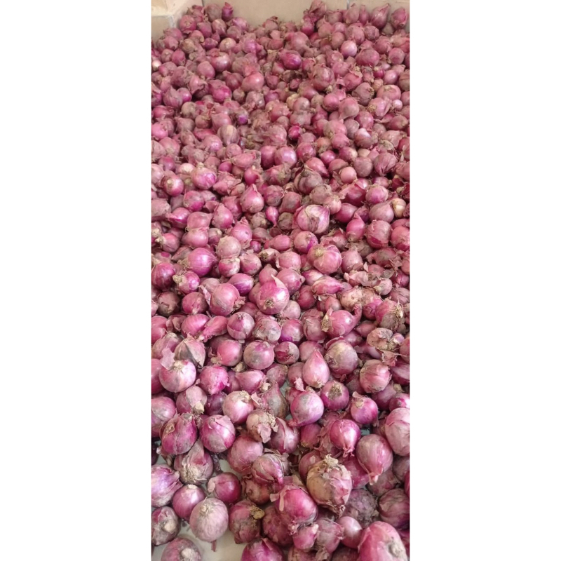 

Bawang merah 1 kg ukuran sedang & besar asli petani bawang merah super bawang putih premium