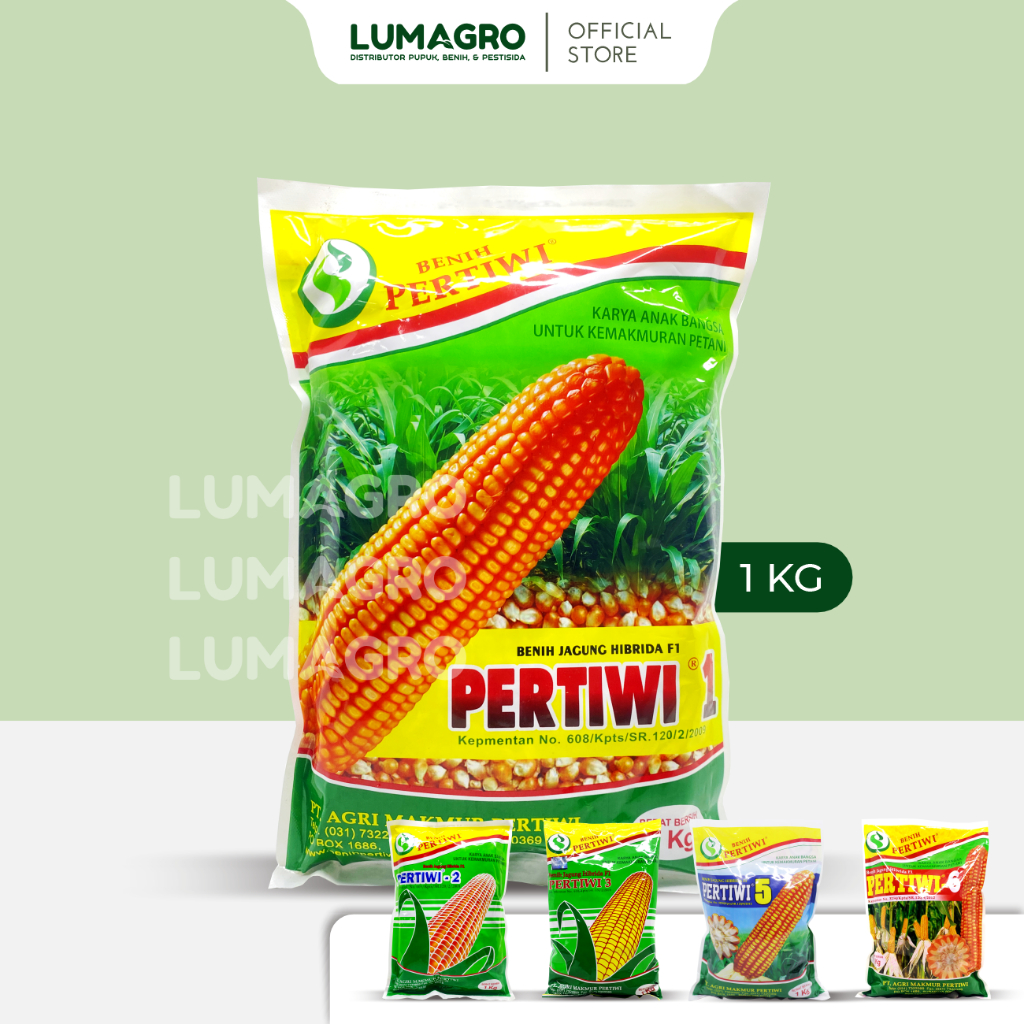 Benih Jagung Pertiwi-1 Pertiwi-6 Pertiwi-3 Pertiwi-5 1kg Bibit Pertiwi Unggul Tahan Bulai