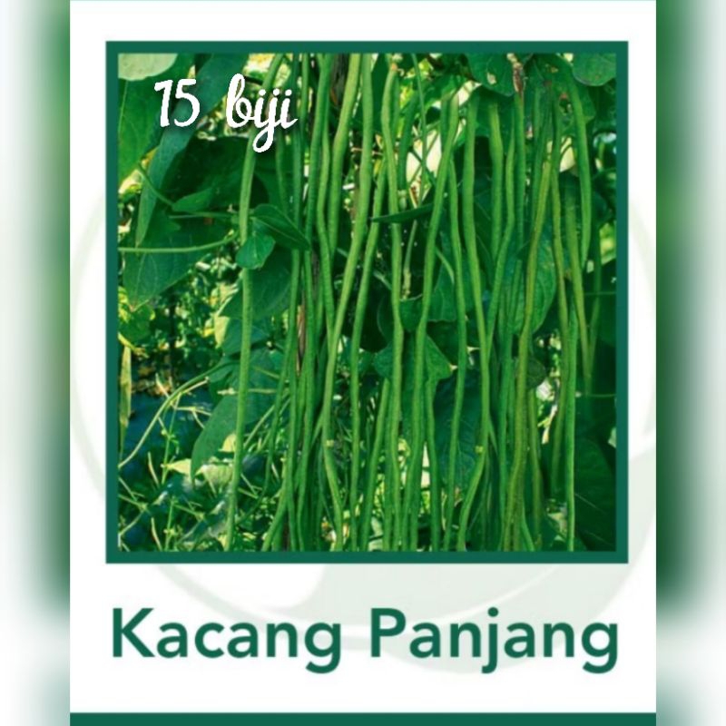 

Benih Kacang Panjang