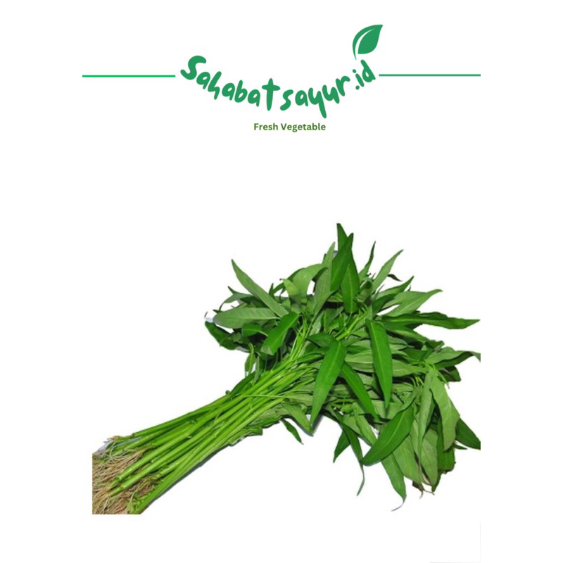 

Sayur kangkung fresh / Per ikat -Surabaya