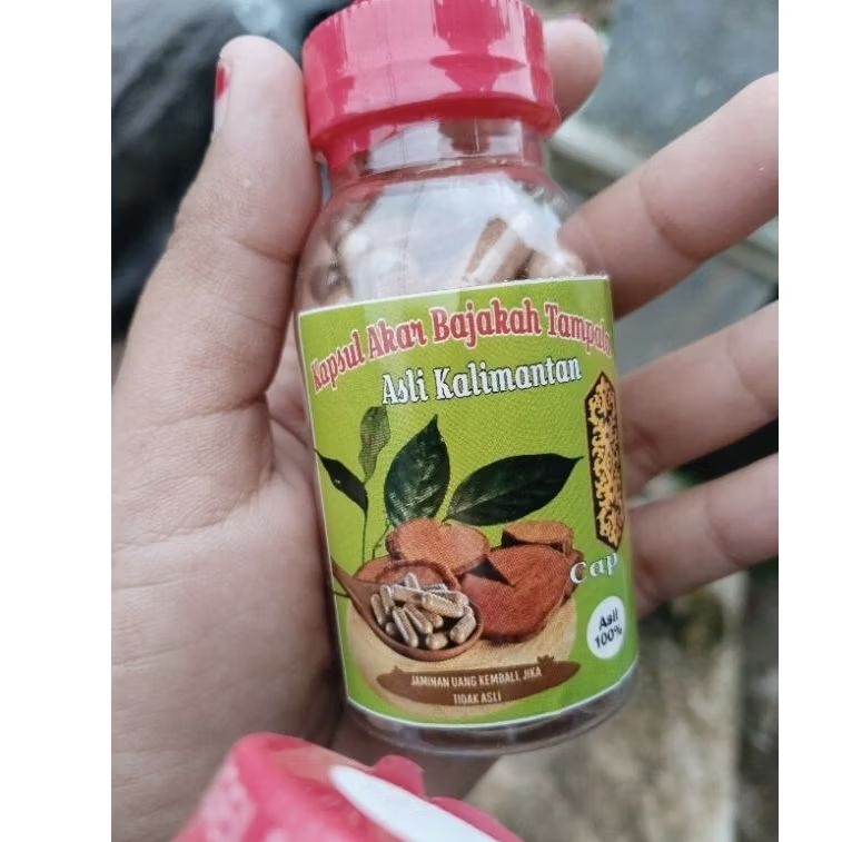 

Kapsul Akar Bajakah Tampala Asli Kalimantan