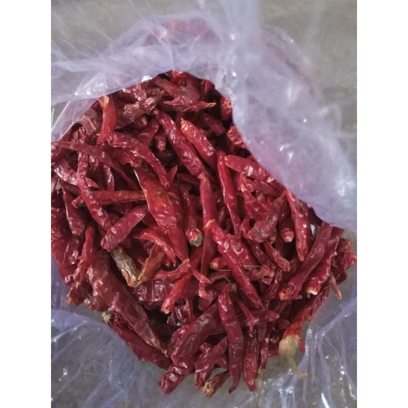 

cabaikering (cabai india lokal)