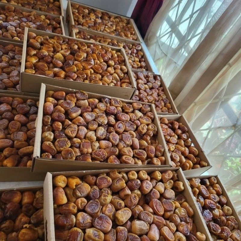 

PANEN BARU Kurma Sukari 3kg VIP New Grade A / Sukary AlQasim