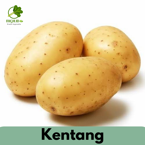 

KIRIM INSTAN Kentang 250gr