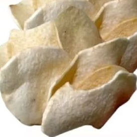 

CS keripik Gandung matang 1kg keripik Gandung sehat