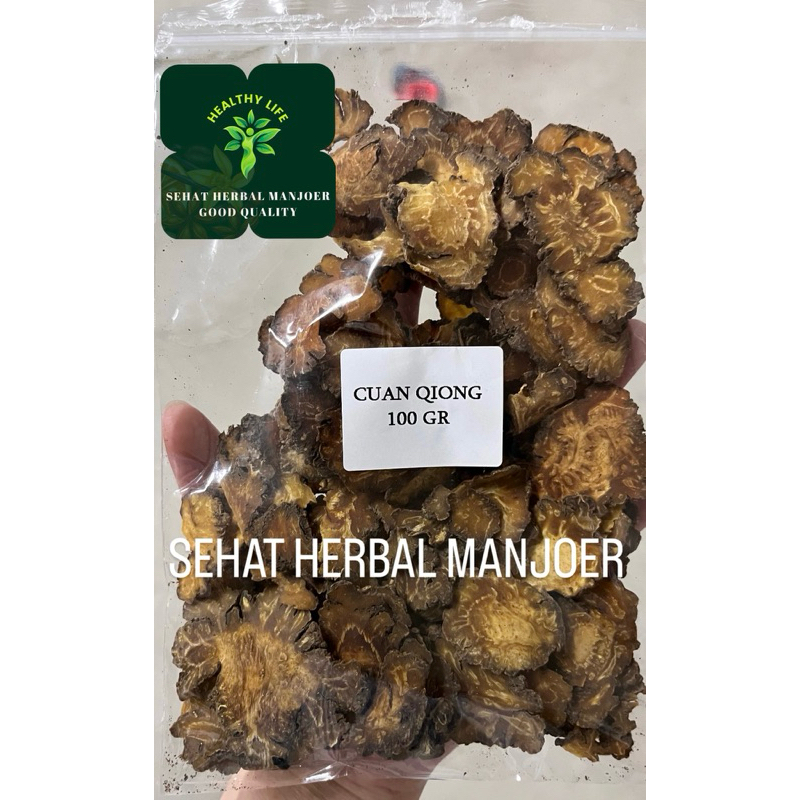 

Chuan Xiong / cuan Qiong / Sichuan Lovage Cuan Kiung Fresh Original Premium 250gr