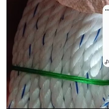

Tali Tambang PP Monofilament diameter 12 mm (Cir 1 1/2") warna putih setrip biru.