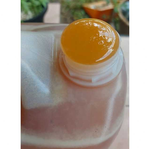 

madu sidr malki 7 kg dari yaman