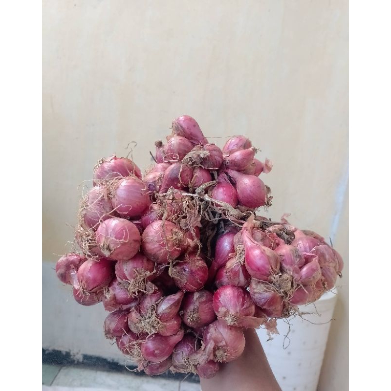 

bawang merah unggulan super kering sama daunnya ½kg