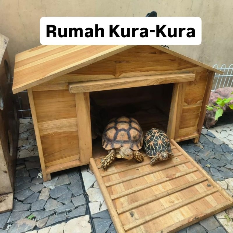 Rumah Kura-kura Rumah kura kura Brazil Kandang Kura Kura