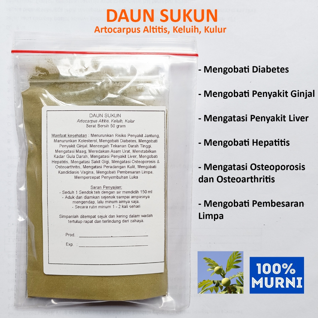

DAUN SUKUN Seduh Serbuk BubukJantung Liver Diabetes Ginjal Hipertensi Maag Hepatitis Osteoporosis