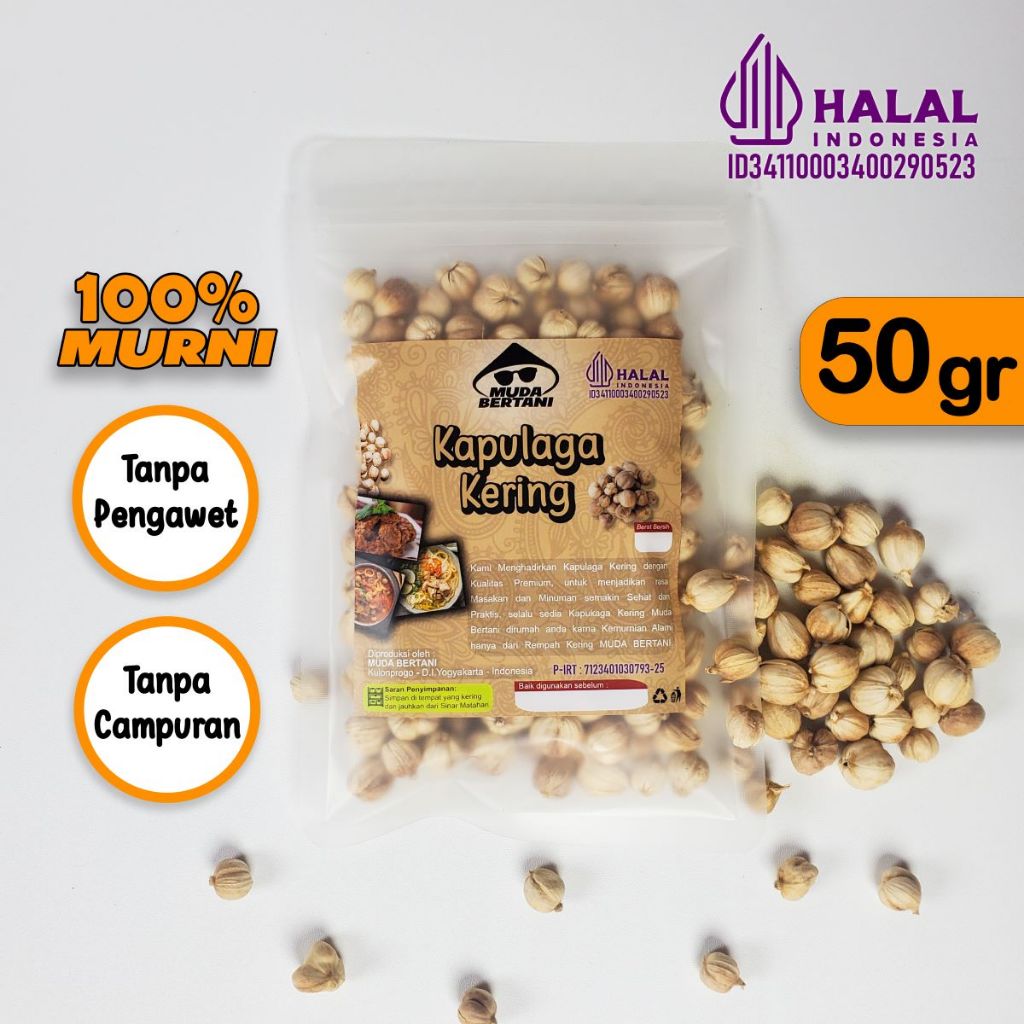 

Kapulaga Kering/Elettaria cardamomum/Cardamom