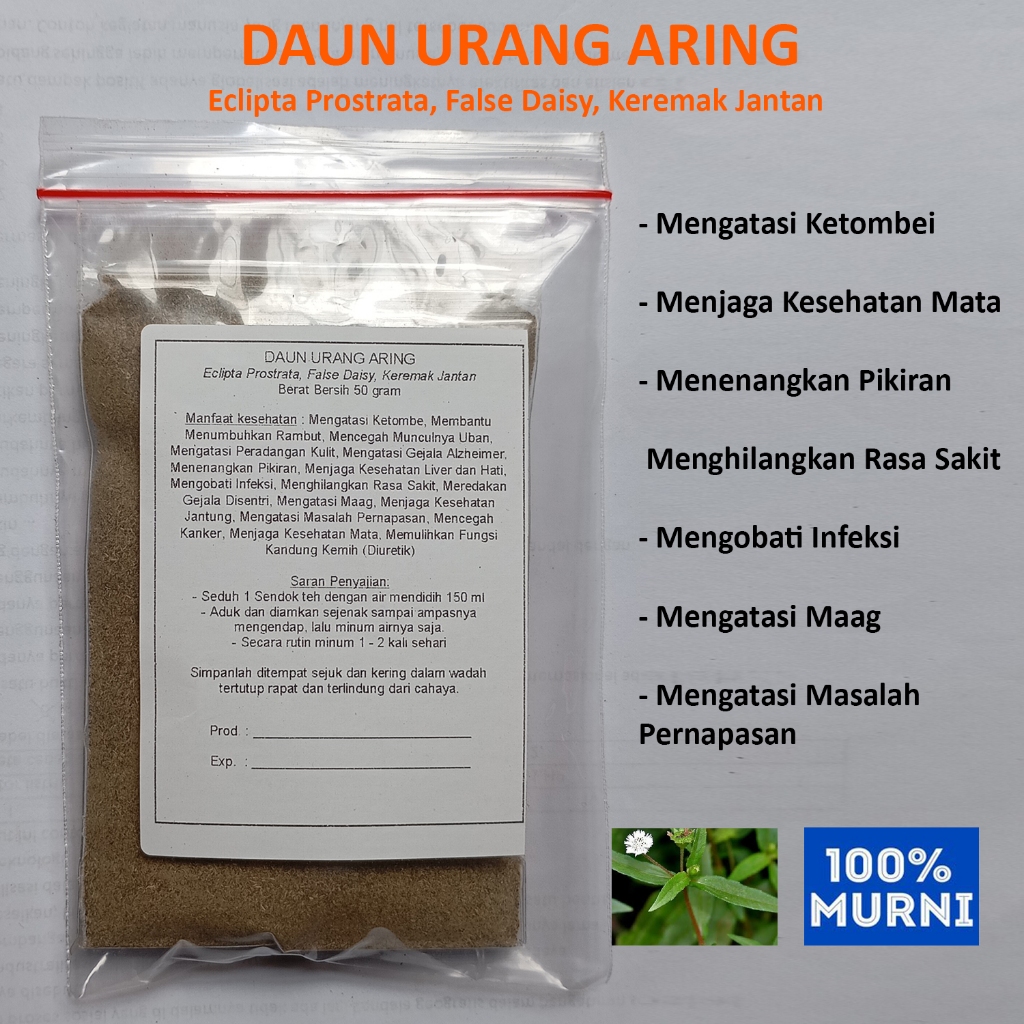 

DAUN URANG ARING Seduh Serbuk Bubuk Menumbuhkan Rambut Liver Hati Kandung Kemih