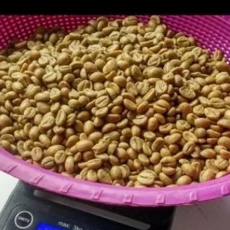 

Robusta Temanggung Full petik merah