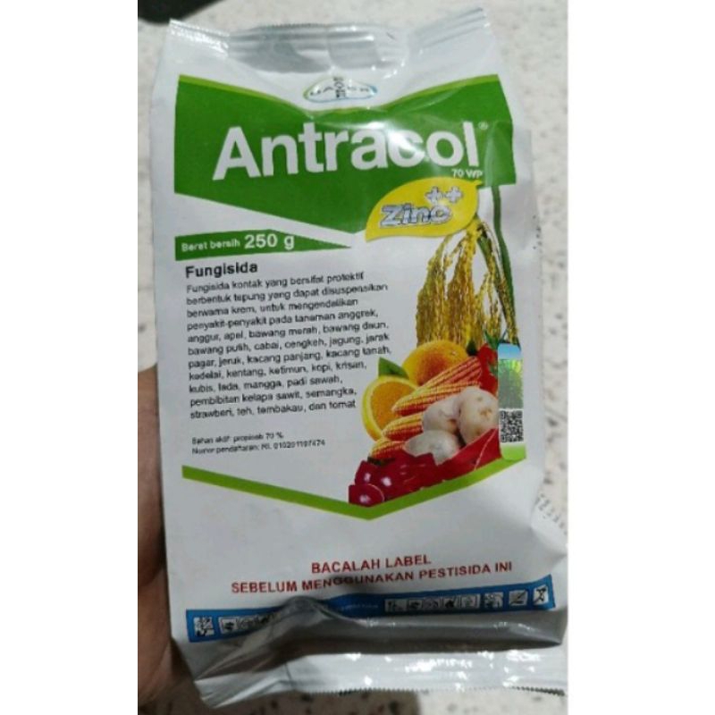 antracol 250gram