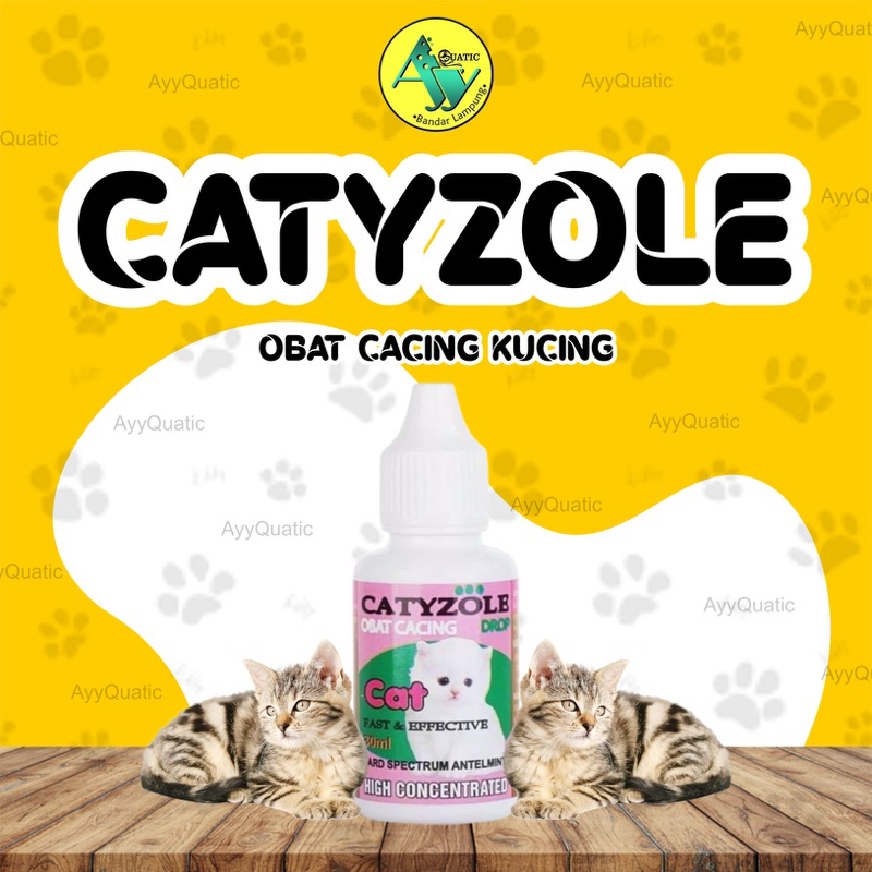 CATYZOLE | Obat Cacing Kucing | Cair | Sirup Obat Cacing Kucing