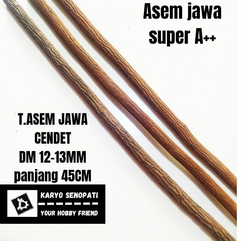 Tangkringan Asem Jawa Super A++ Cendet DM 12-13MM Panjang 45CM tangkringan burung