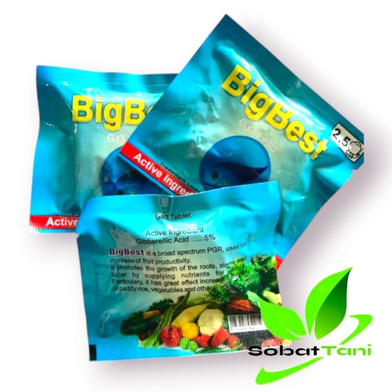ZPT GA3 BIGBEST 5 GRAM