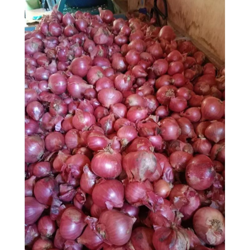

Bawang merah super isi kg