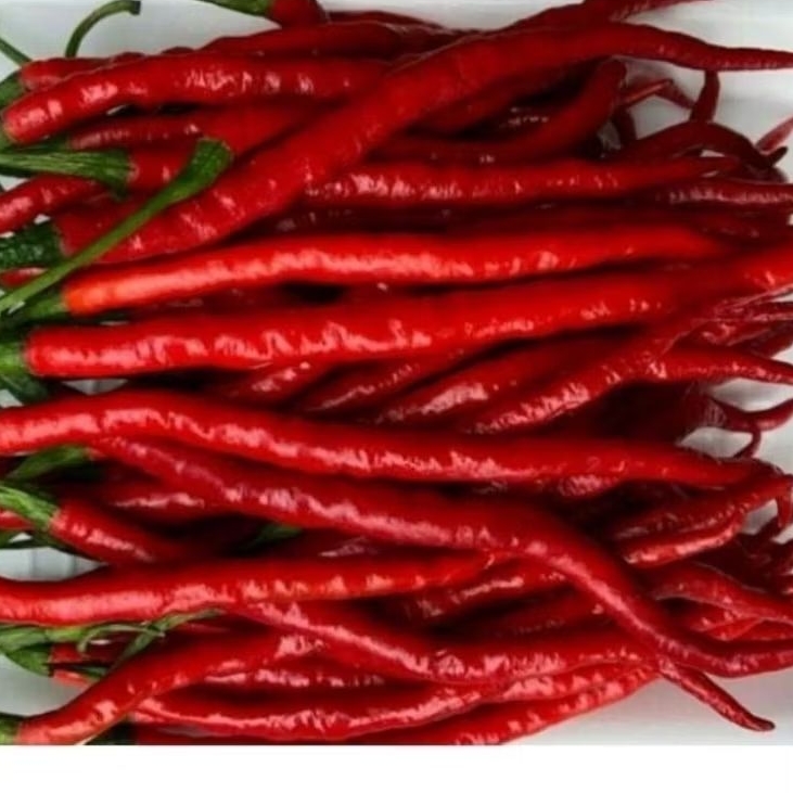 

premium cabe kriting 500 gram