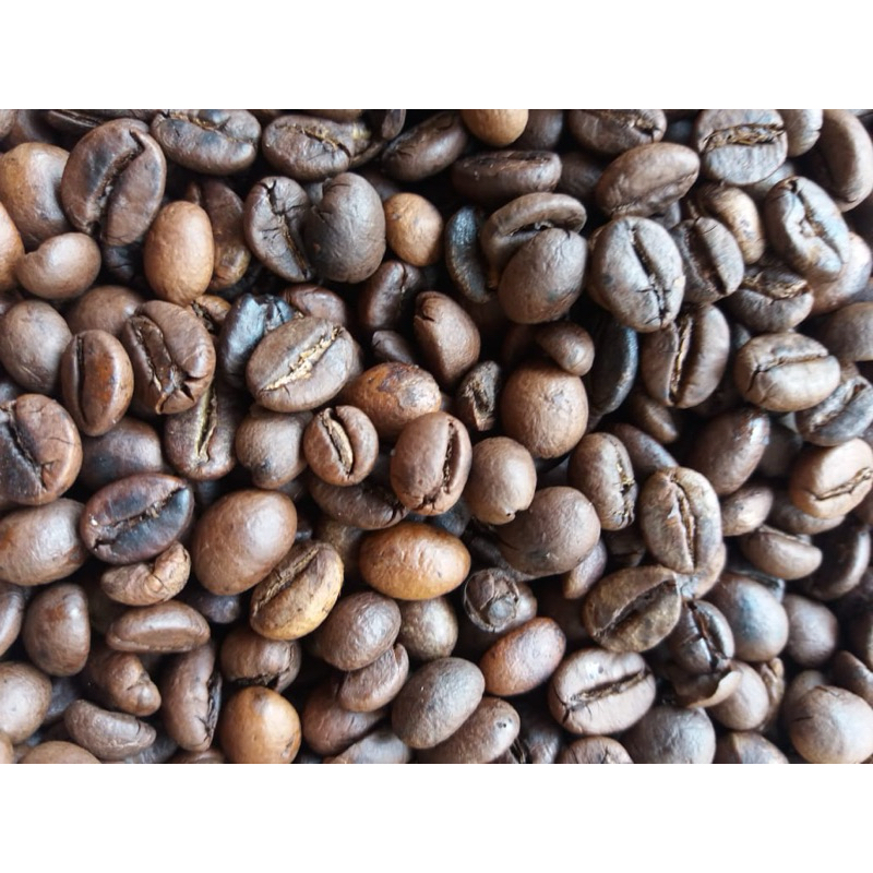 

Biji Matang Kopi Robusta