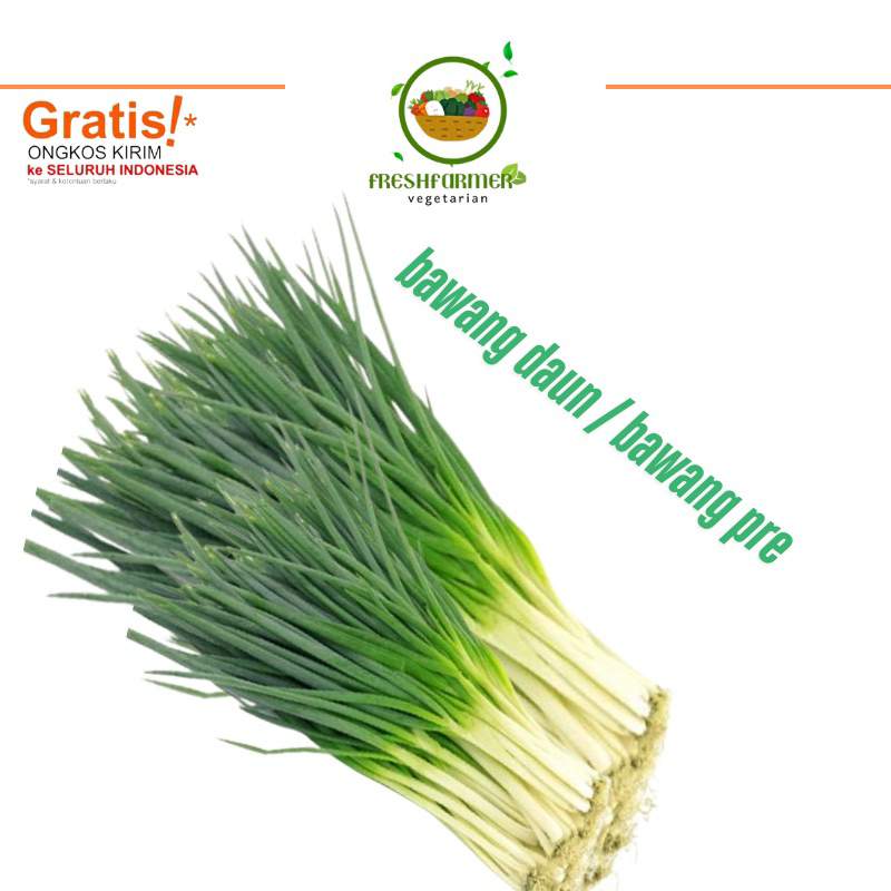

bawang daun 1kg besar