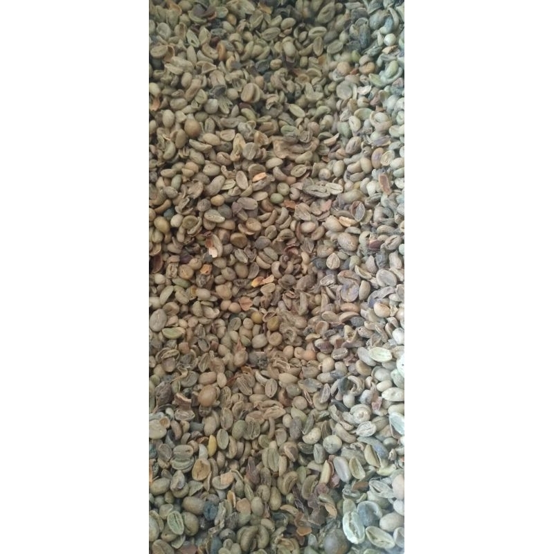 

kopi arabica cabutan/riject washproses