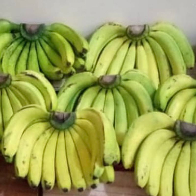 

PROMO Pisang Ambon Lumut Manis Lembut 1sisir