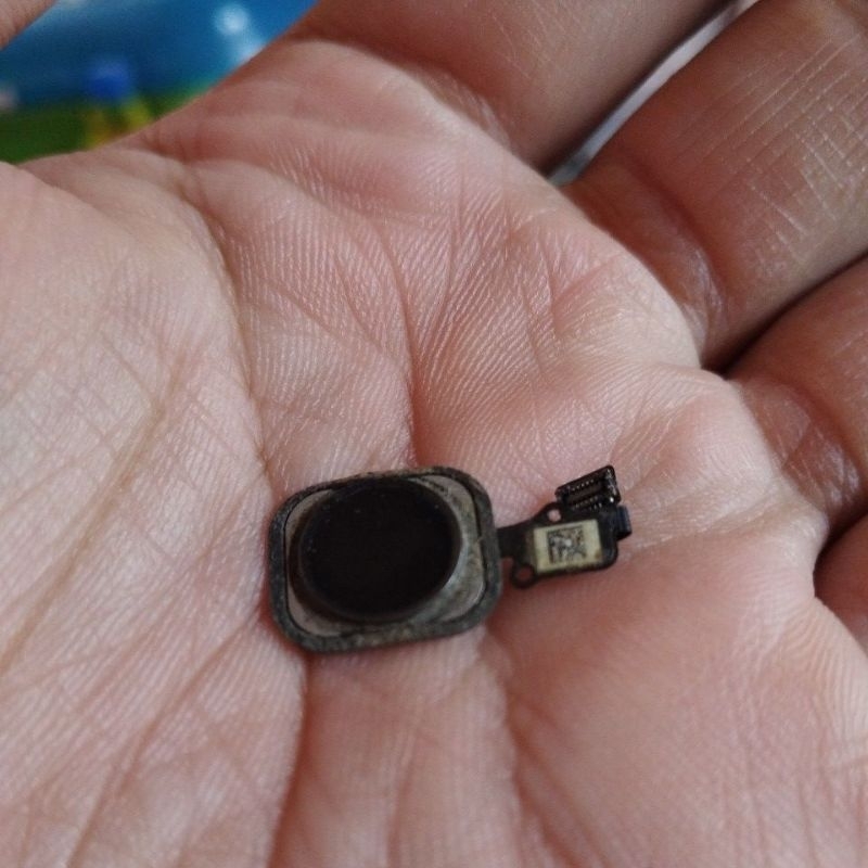 Fingerprint/Tombol Tengah IPhone 6 Plus