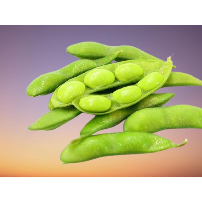 

( 1 KG ) ~ FRESH ENDAMAME