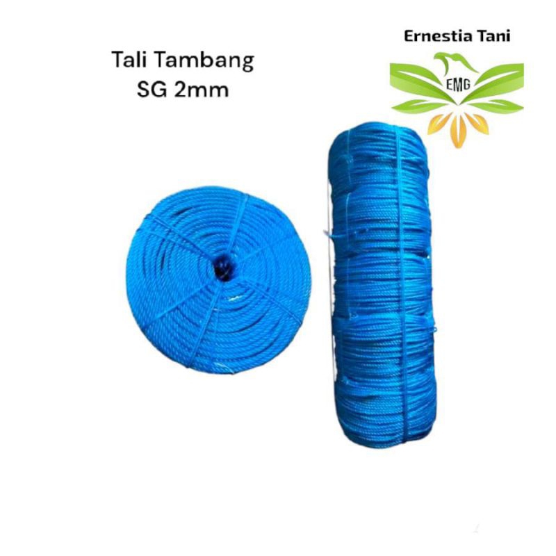 

Tali Tambang 2 mm 1 kg Tali Tampar/ Tambang Plastik Warna Biru