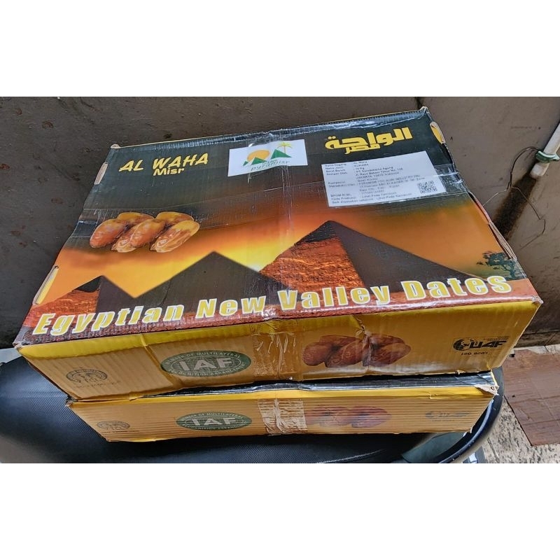 

kurma mesir grosir 10 kg