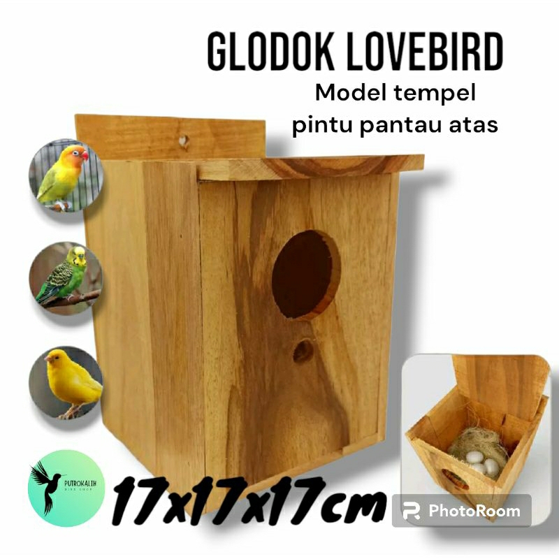 Glodok Lovebird Tempel Pintu Pantau Atas rumah sarang tempat bertelur burung lovebird parkit finch d